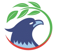Pak Eagle Enterprises Logo & Graphics Designing