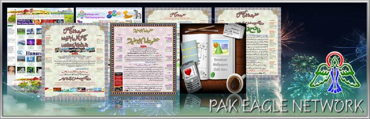 Pak Eagle Enterprises Network