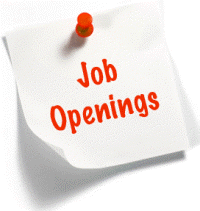 Pak Eagle Enterprises Freelance Job Opportunity - Earn Online